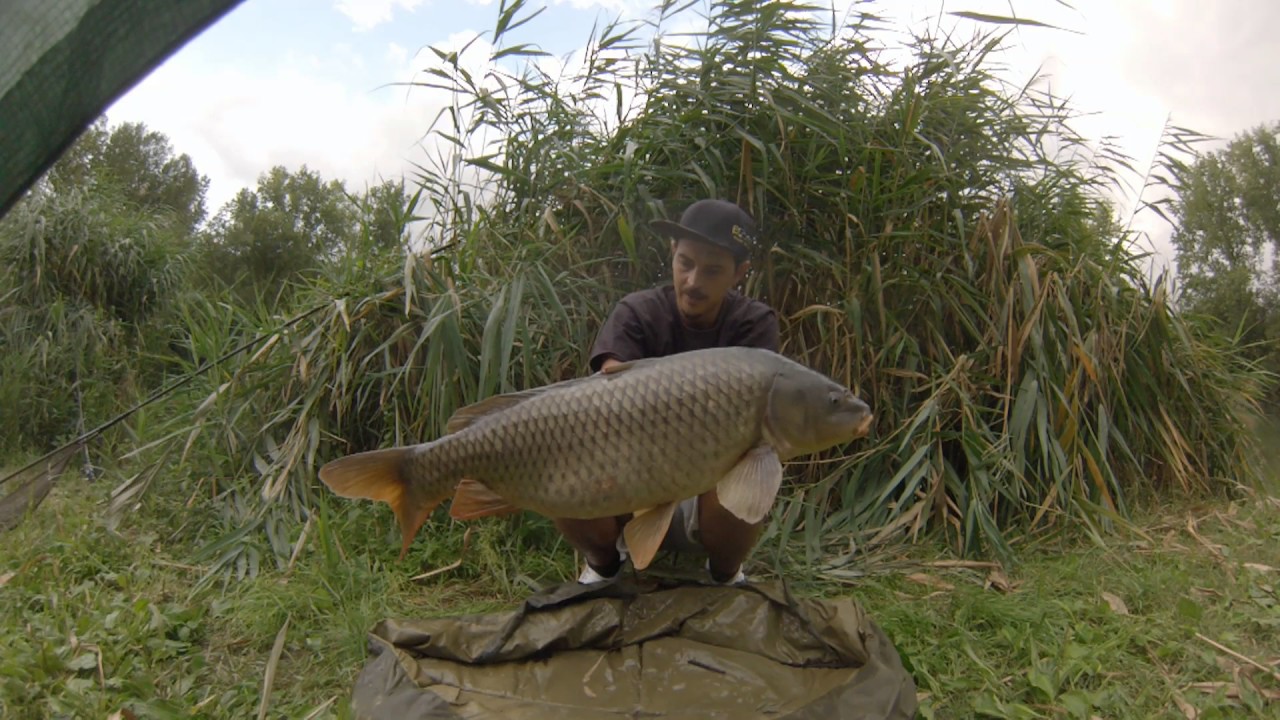 Carpfishing like a wild boar ( lago di Caccamo, cave, lago delle grazie,ecc)