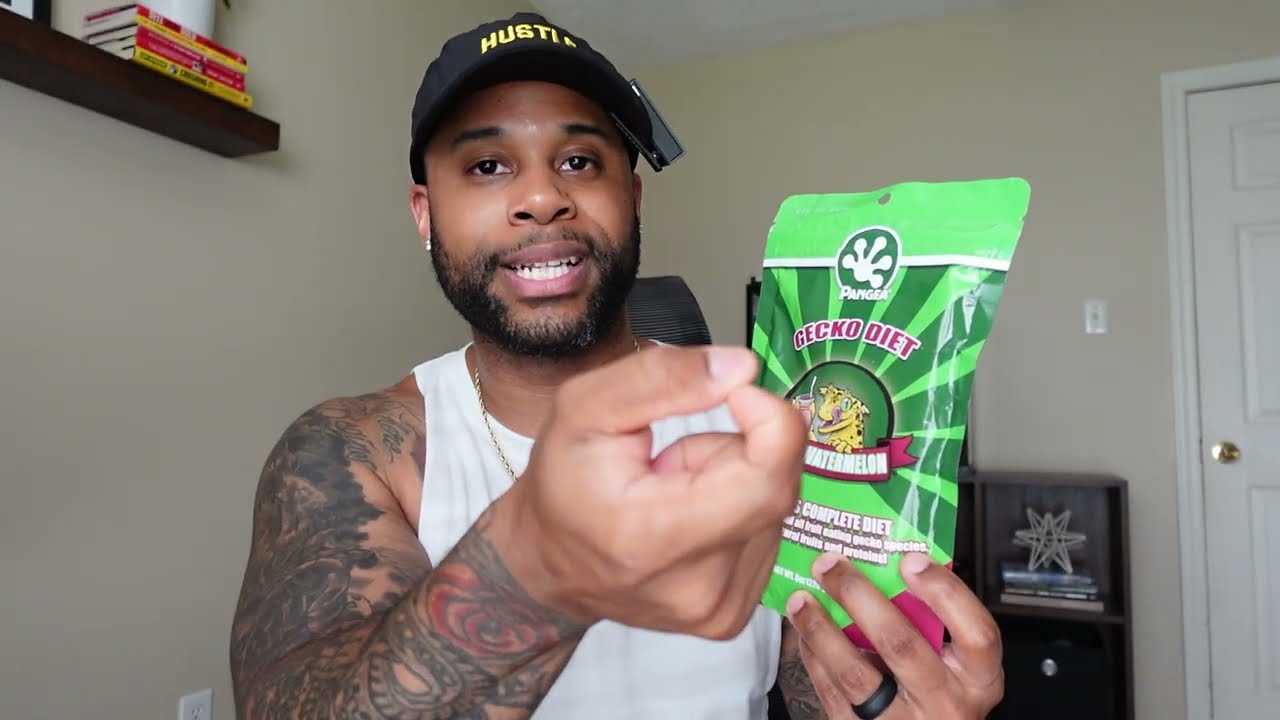 Pangea Gecko Diet with Watermelon Review | Best Food For Crested Geckos