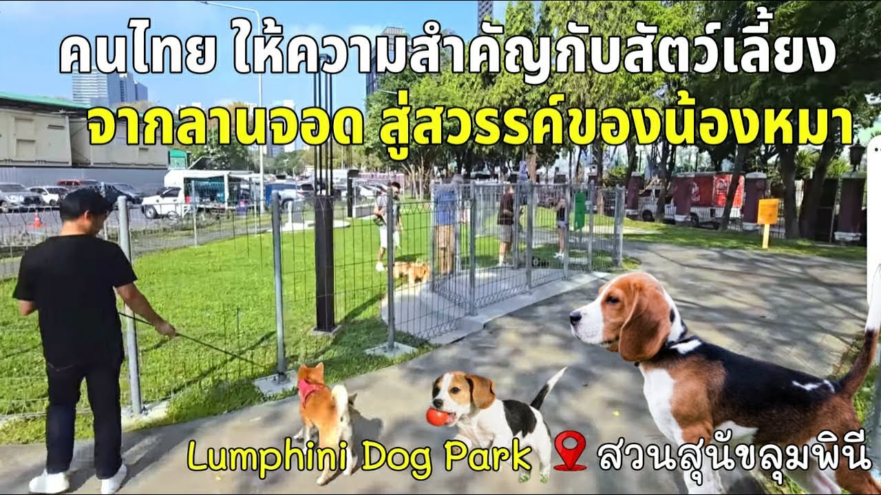 ประเทศไทย ให้ความสำคัญกับสัตว์เลี้ยง ผู้ว่าเพิ่งมาเปิดสวนน้องหมาลุมพินี 