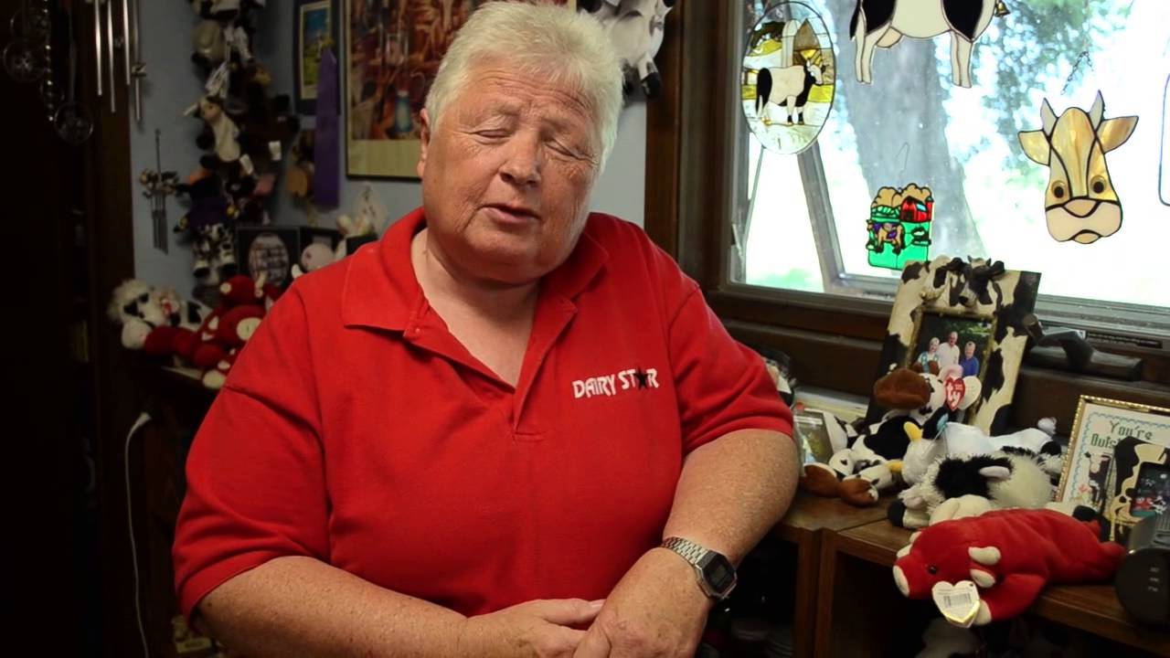 Ruth Klossner's cow collection