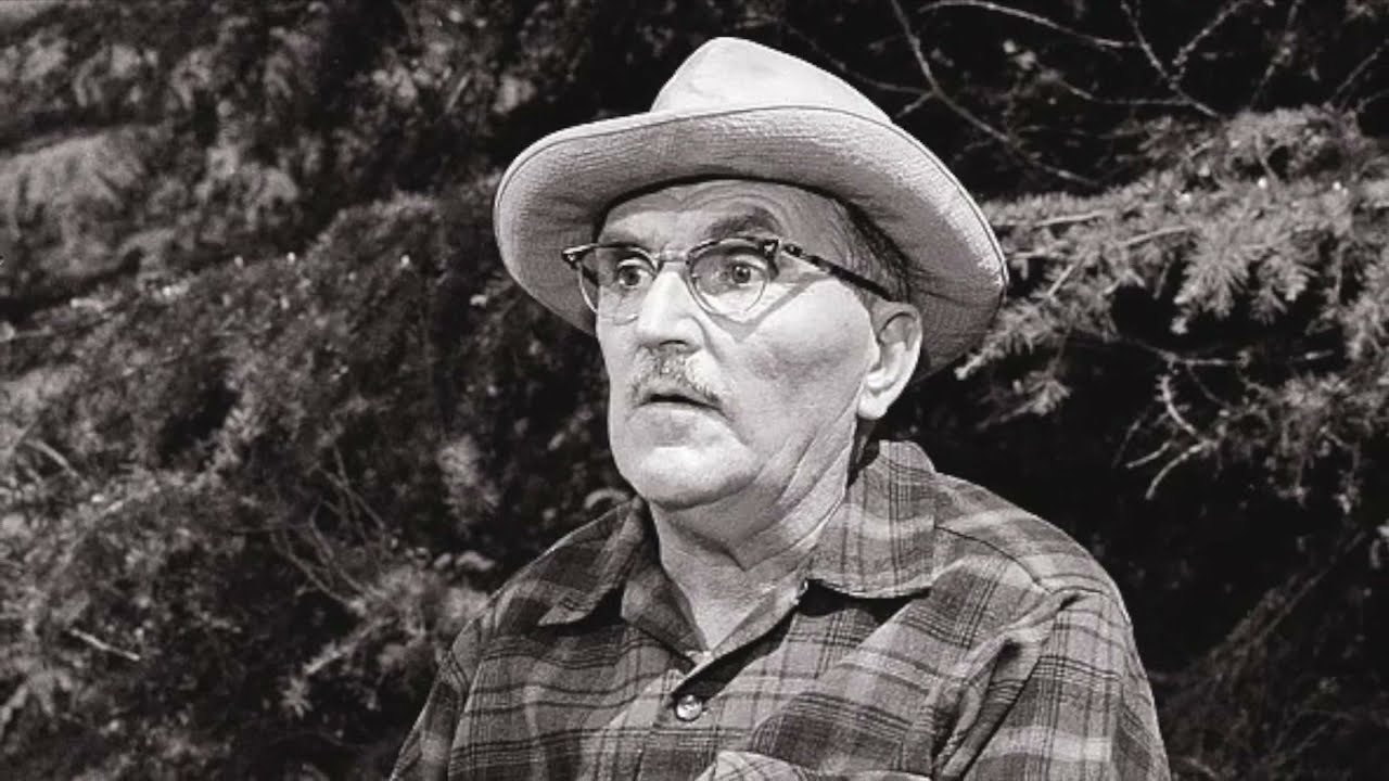 After the Stroke - The Life and Sad Ending&reg; of Howard McNear