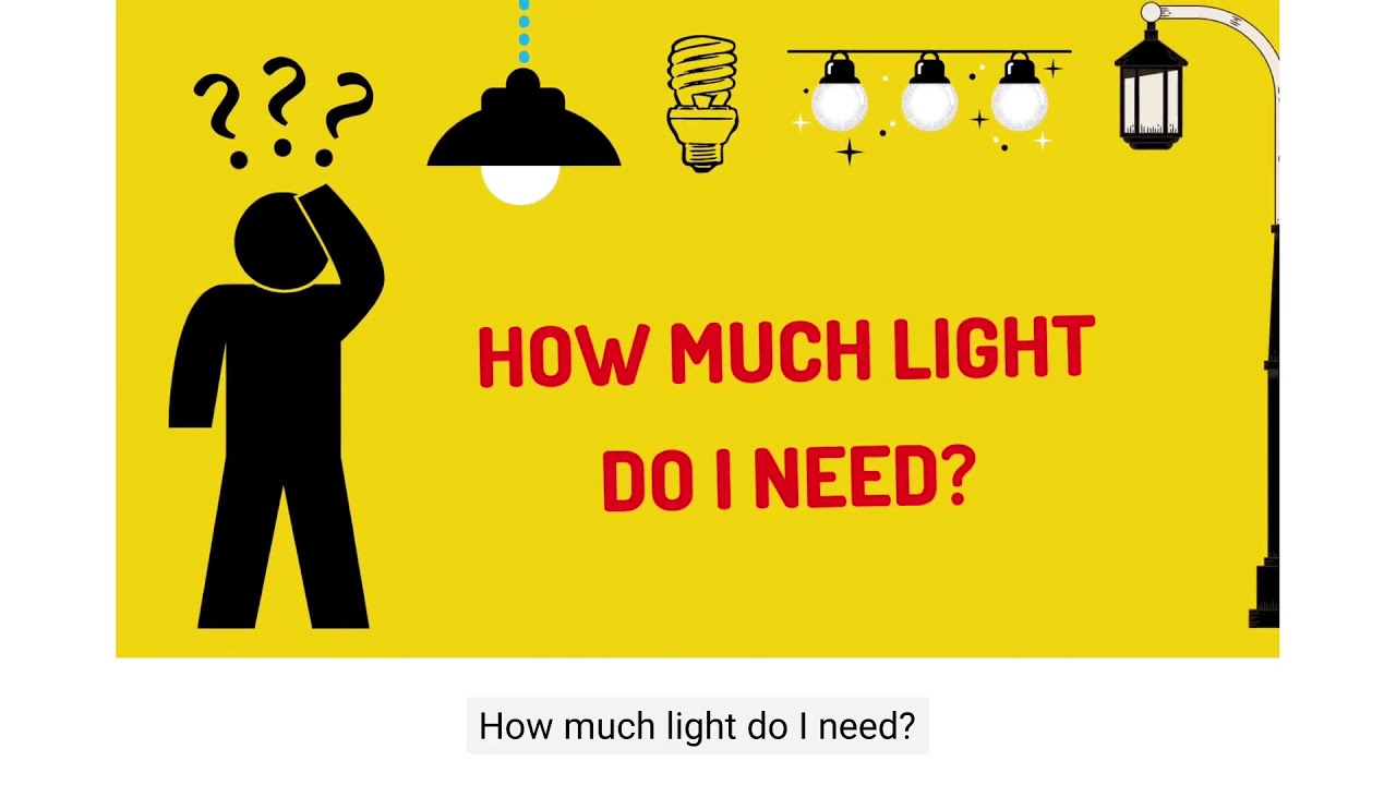 IES Lighting Library FAQ: What is the IES Interactive Illuminance Selector?
