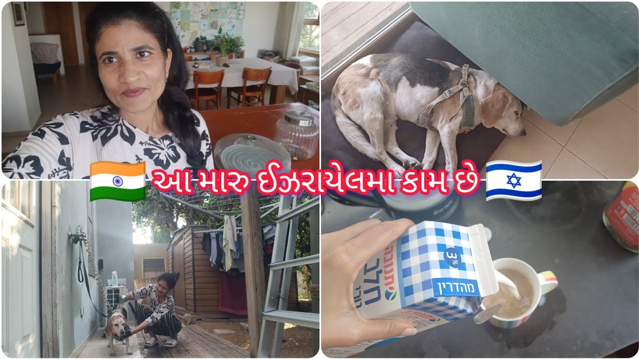 ઈઝરાયેલમા આ આવી રીતે કામ હોય છે 🇮🇳🇮🇱#vlog #india #gujarativlogs #gujarat #isreal 