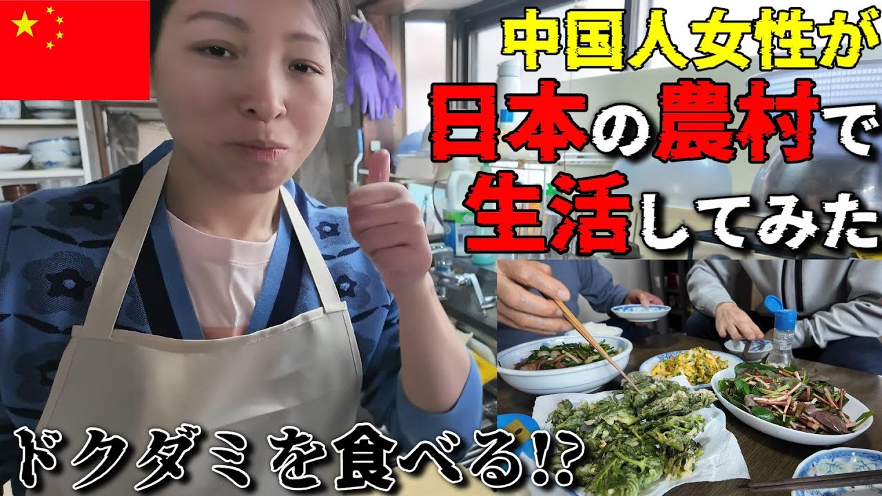 【飯田市】中国人が日本の農村で山菜採りに感激 日本の田舎日常が最高すぎる！【元善光寺】崖っぷち中国深セン・東莞駐在員の日常 【年の差日中夫婦】VLOG161