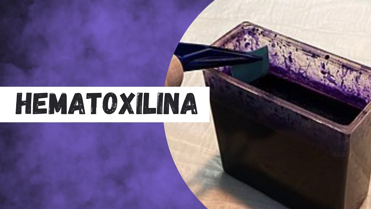 Coloraciones en citología. HEMATOXILINA