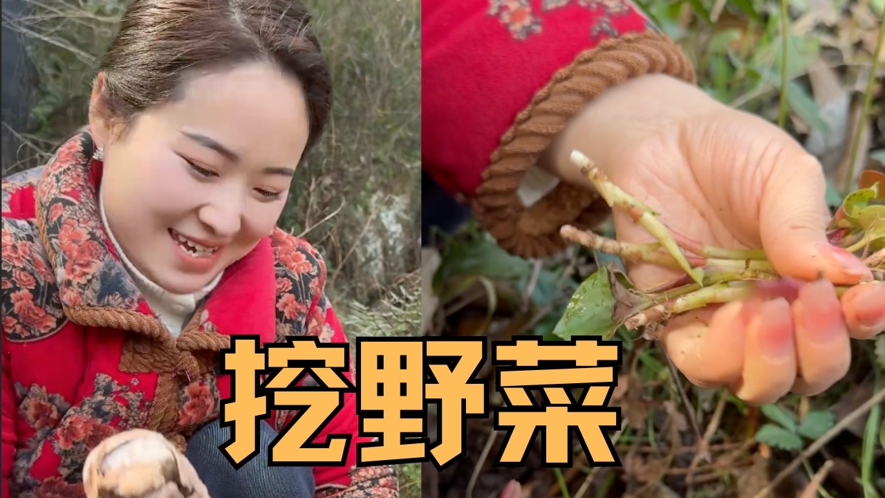 過年大魚大肉吃膩了，媳婦上山挖野菜，滿滿一大盆全都吃光【婷妹要努力】
