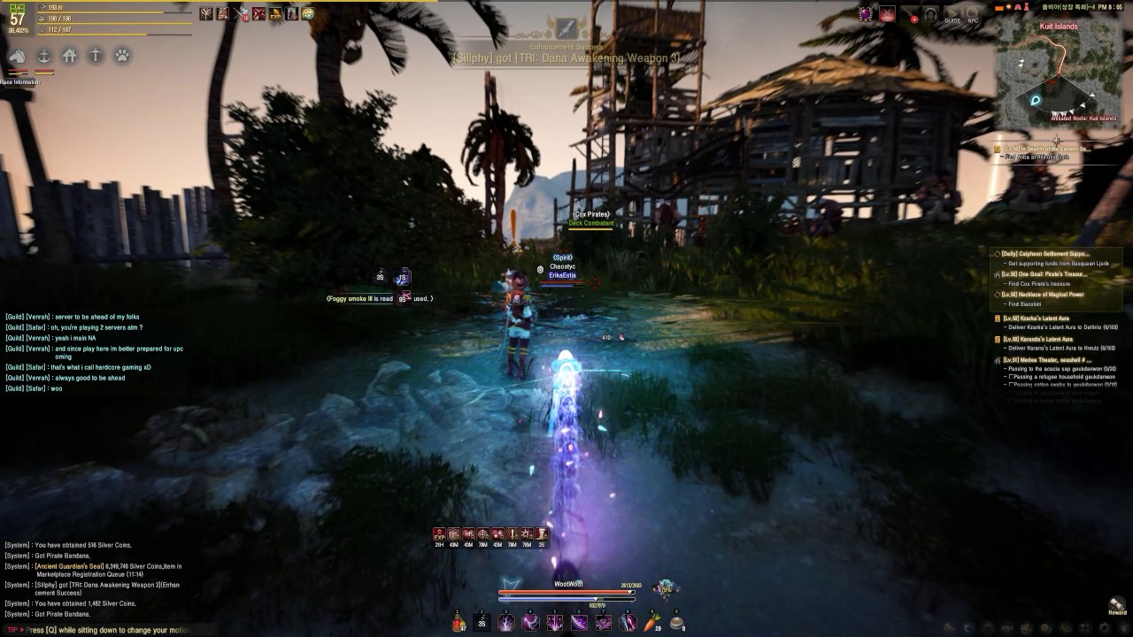 Black Desert Online - awakening Dark Elf - Magical Dual Sword -
