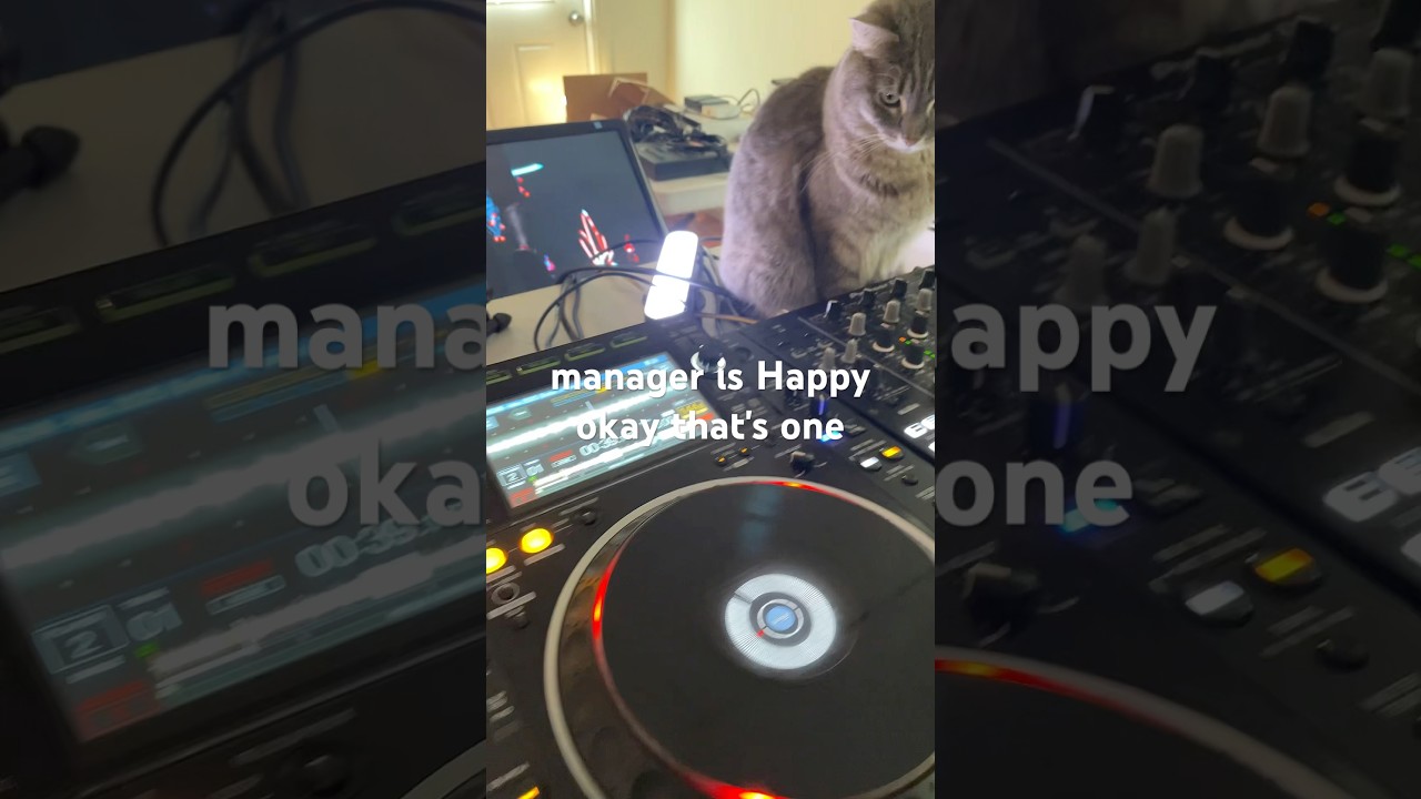 How to sync CDJ with visuals only using Resolume and pro DJ link bridge: no showkontrol, no timecode