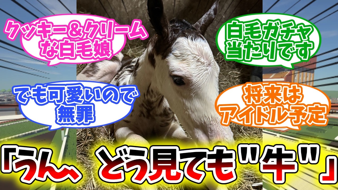 【ドウデュース産駒】「白毛なのに牛すぎる娘」爆誕【競馬】