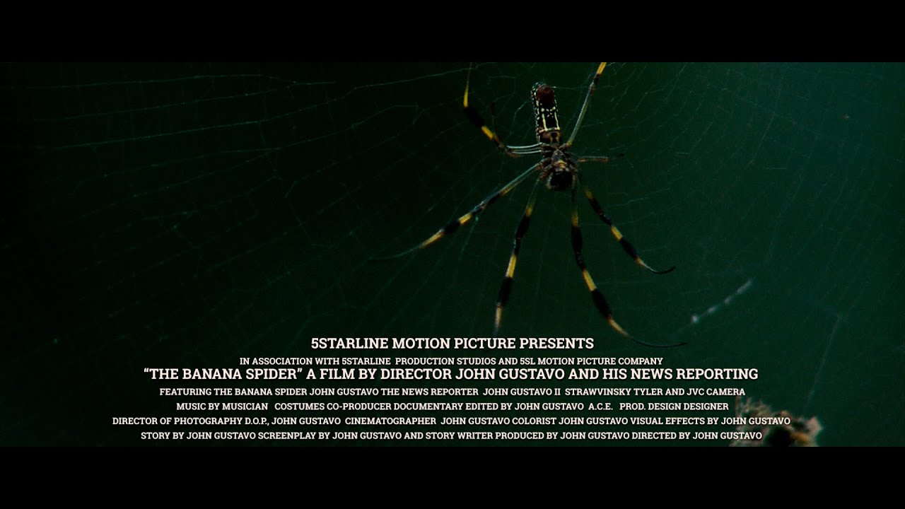 The Life of The Banana Spider
