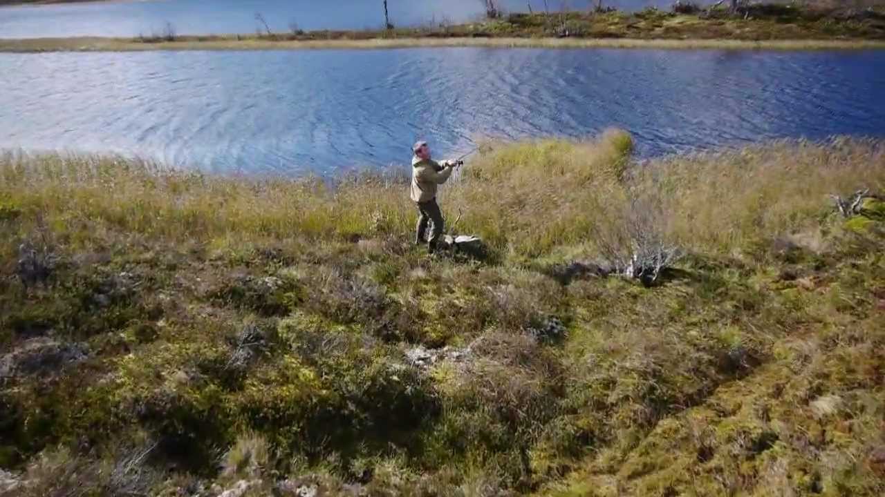 Sylli -- Sjøli i Rendalen