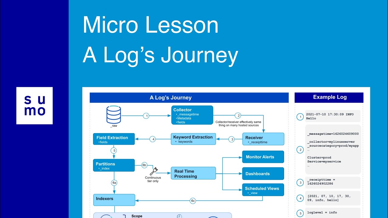 Micro Lesson: A Log's Journey