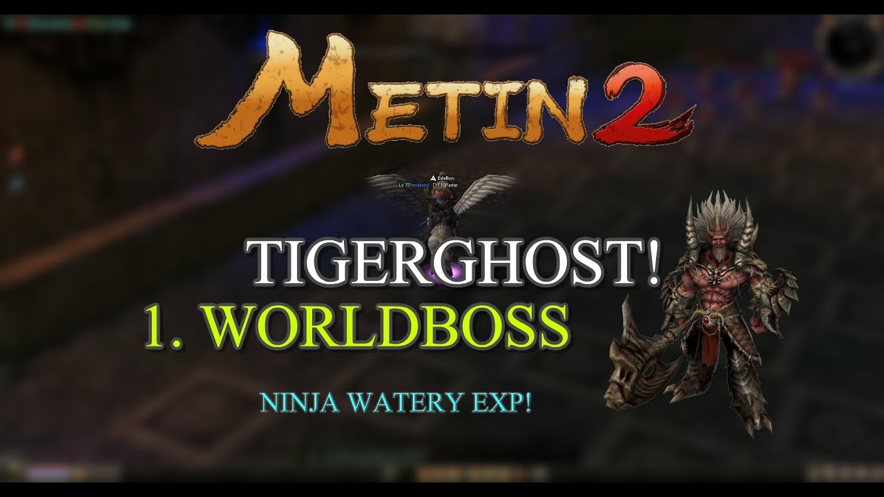 METIN2 TIGERGHOST - SUNDALI JSME PRVNÍHO WORLDBOSSE! + WATERY EXP ZA NINJU