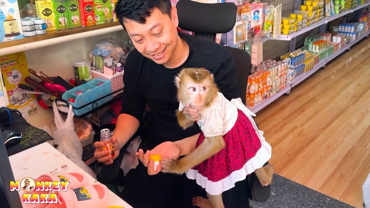 Monkey Kaka was very happy to receive candy from strangers.