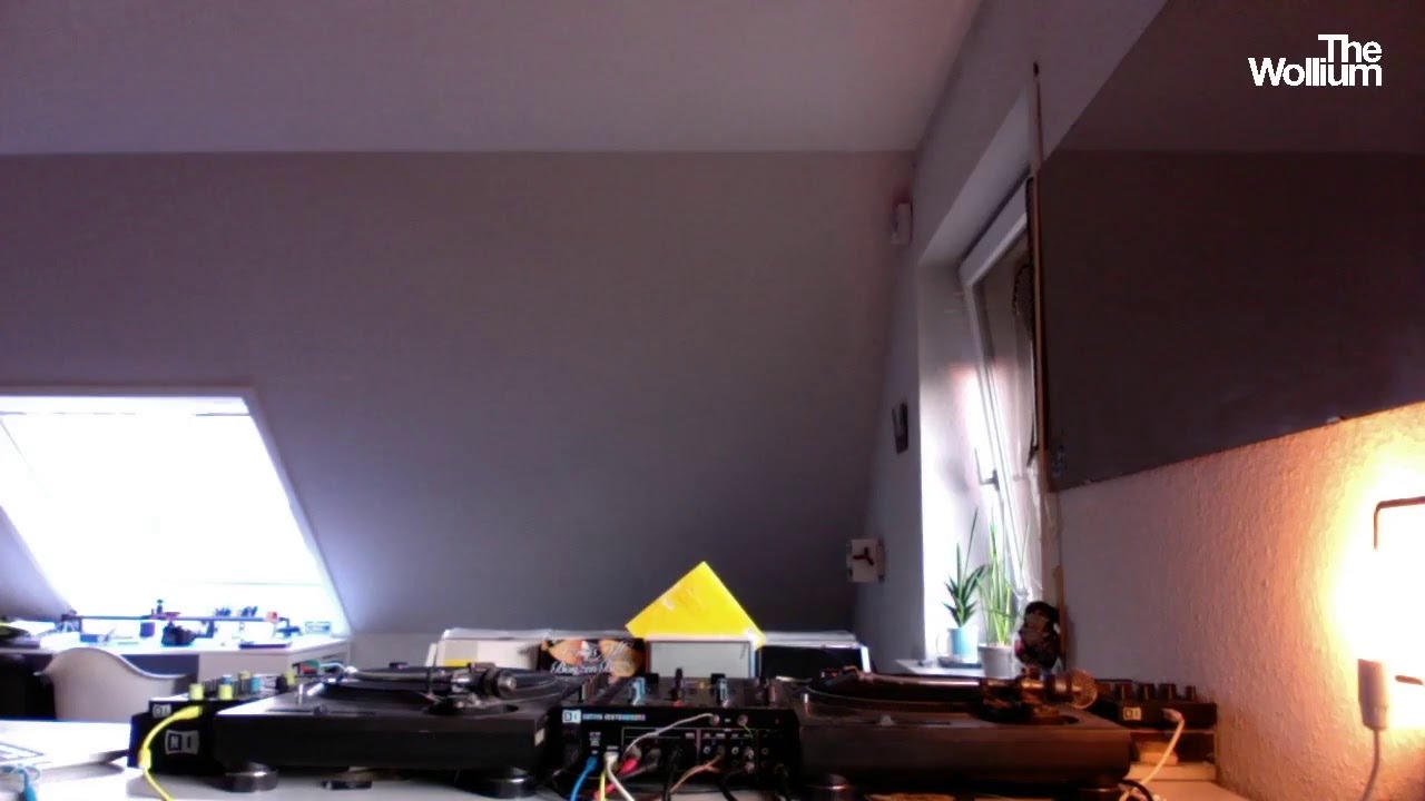 The Wollium @ KBW 13