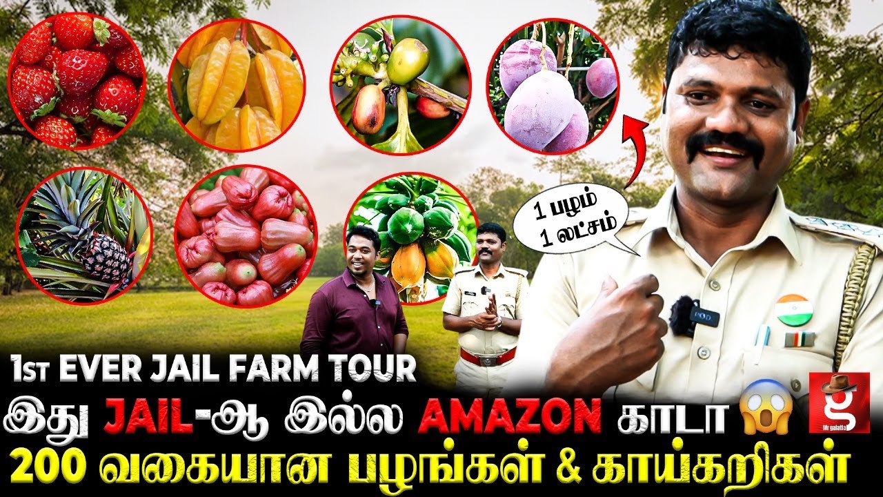 Coffee கொட்டை முதல் Blueberry வரை கிடைக்கும்😱Jail-ல இப்படி ஒரு  விவசாயமா😲First Ever Jail Farm Tour