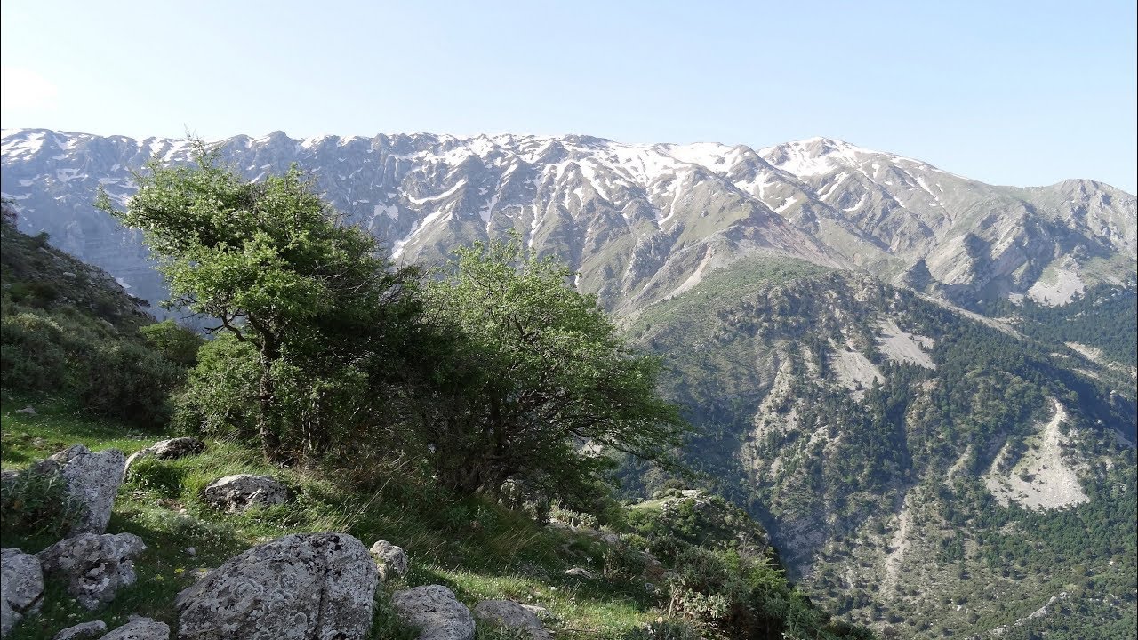Ανάβαση στον Ερύμανθο (Αλεποχώρι-Ωλενός υψ.2224μ.)