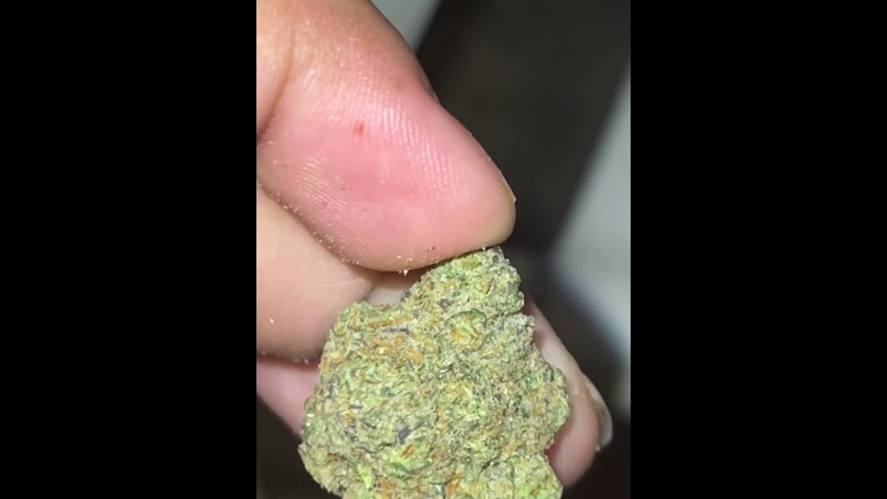 Apple Gelato