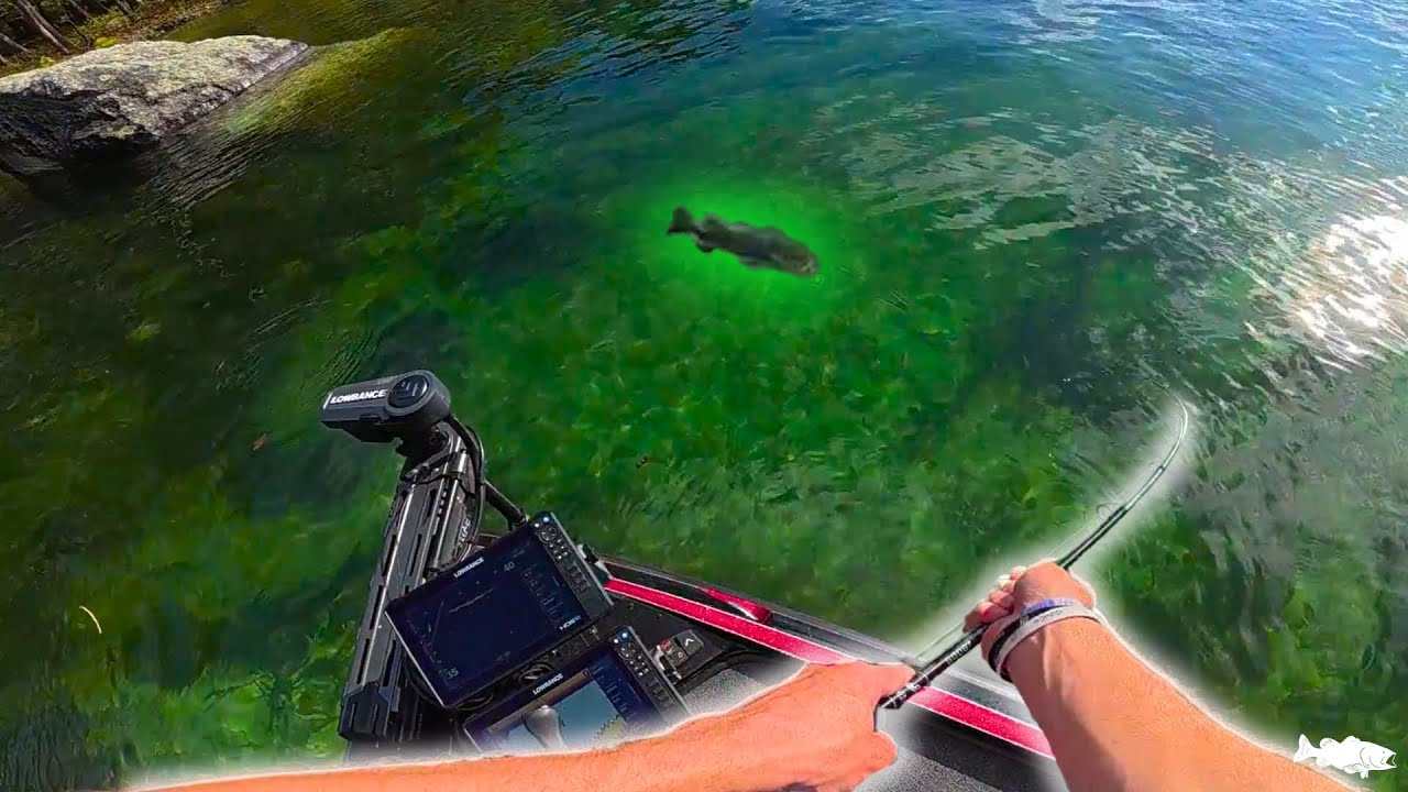Catching Bass In UBER CLEAR Water!