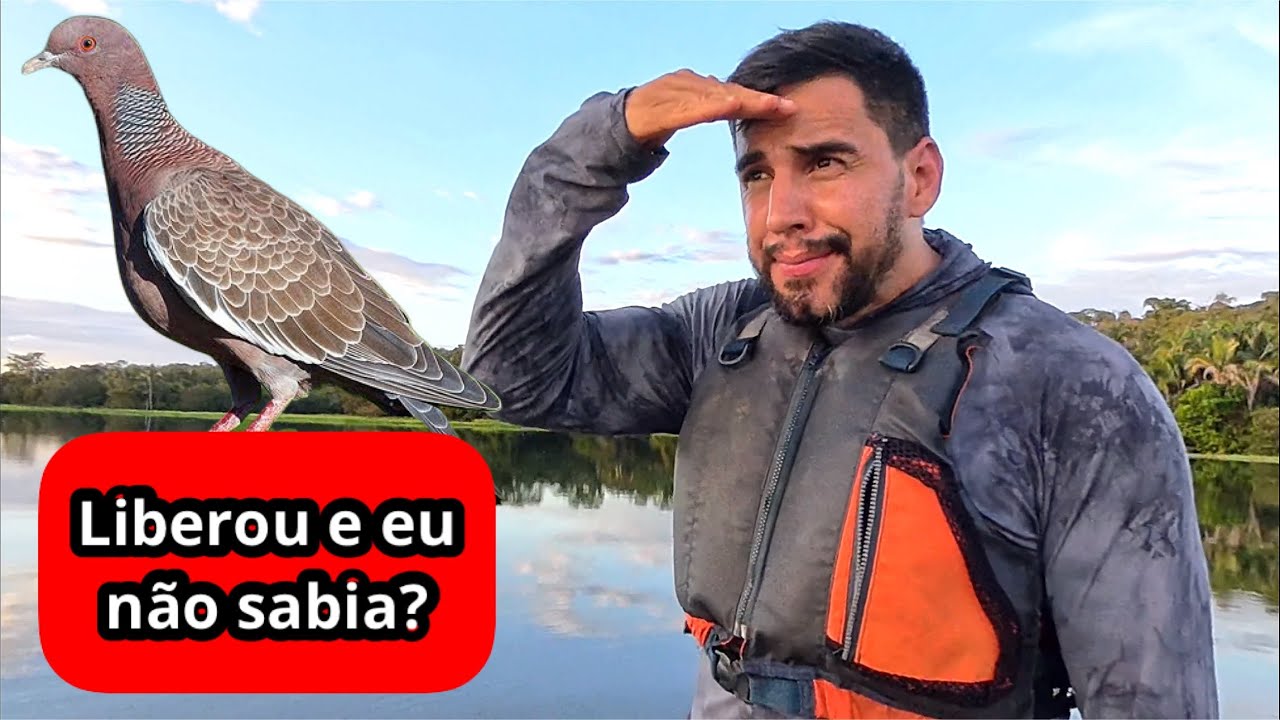 URGENTE! CA&Ccedil;A DA POMBA LIBERADA?
