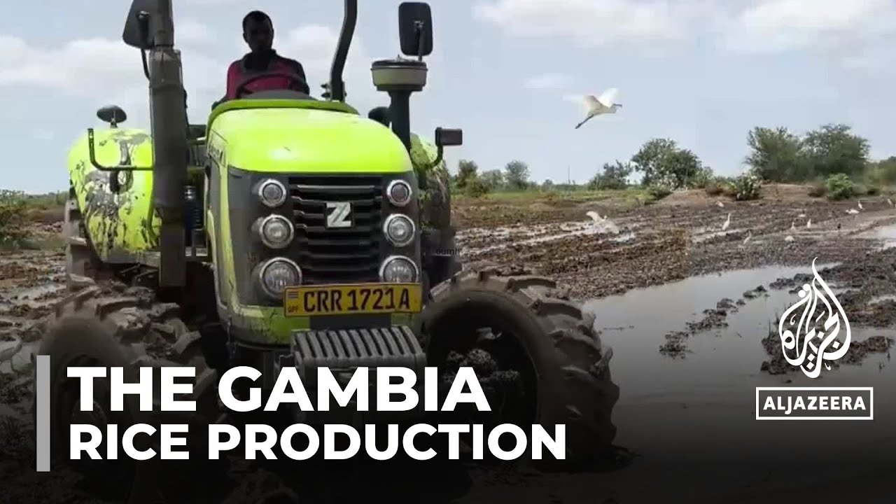 The Gambia government redirects resources to help farmers