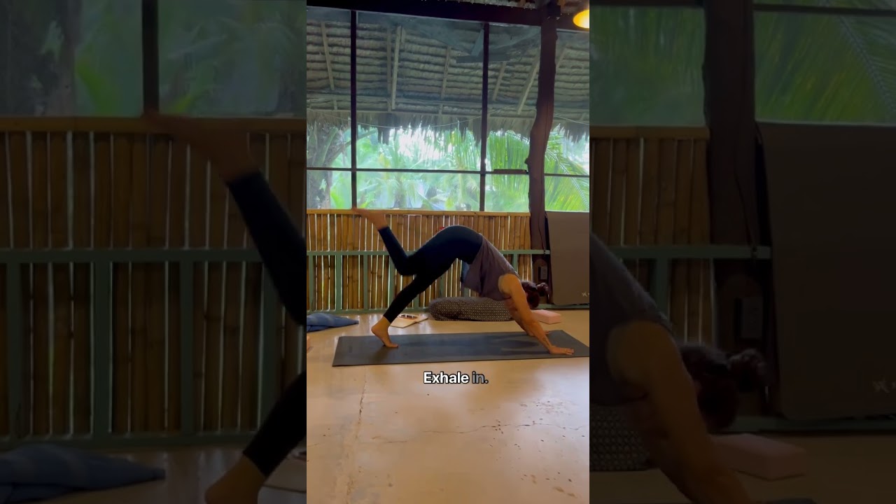 Three-Legged Dog to Plank with Control l Luna Alignment Yoga l Koh-Phangan