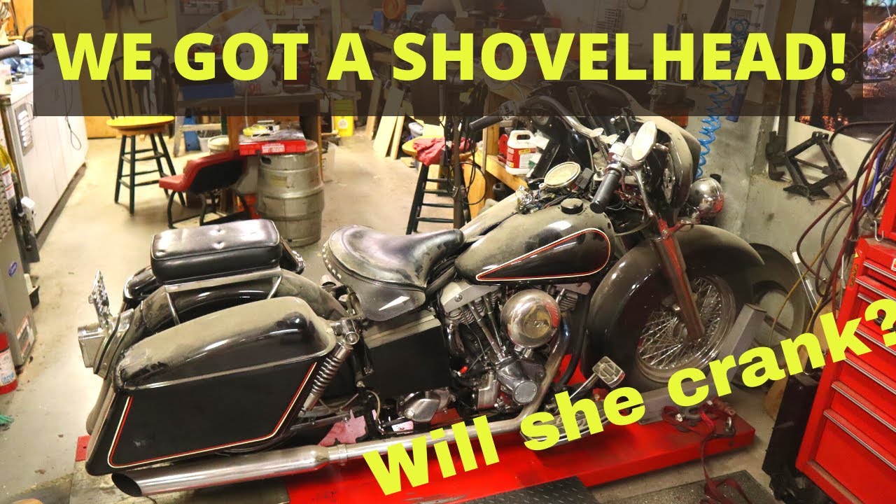 Vintage Shovelhead l Will it Crank? l Budget Rebuilds