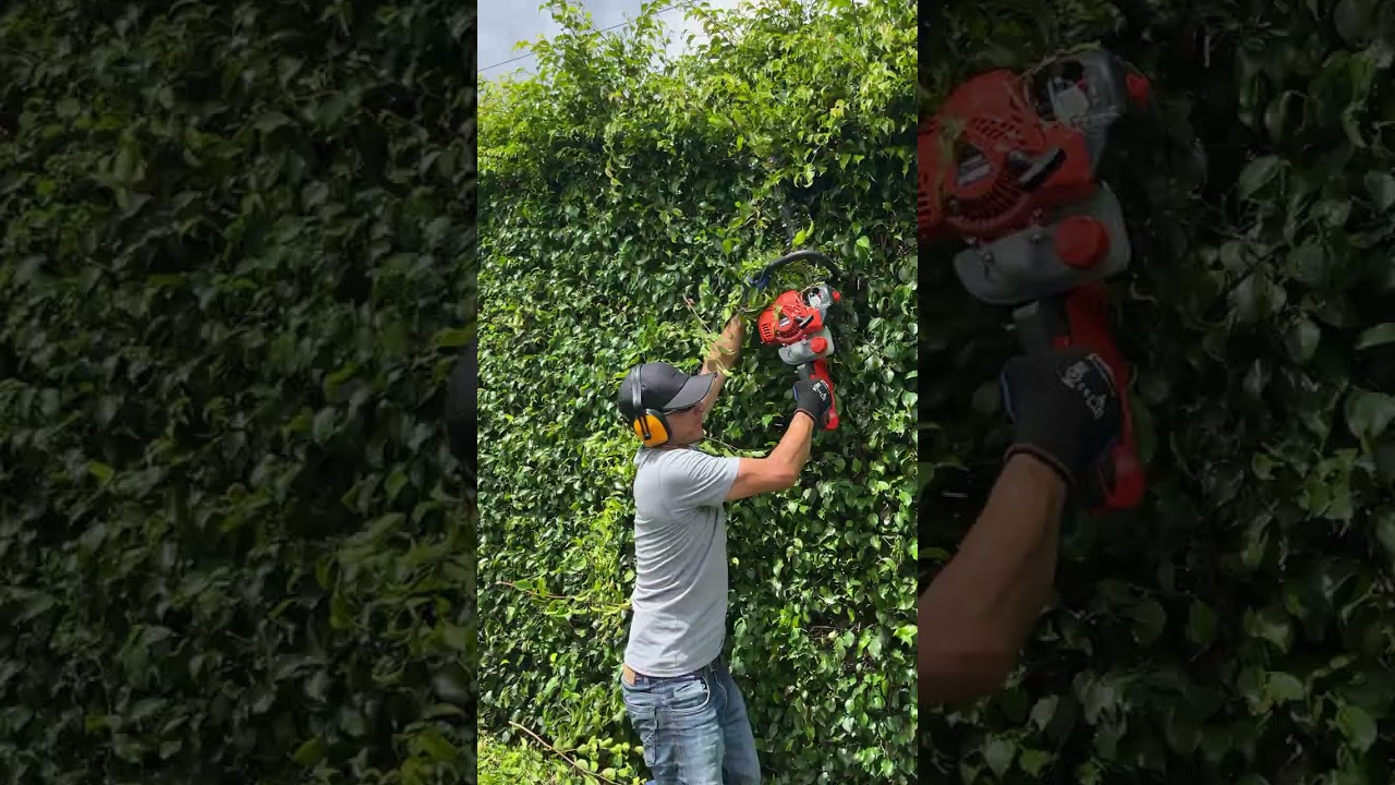 Cortasetos Echo HC2020 ligero y potente para trabajos de jardiner&iacute;a.  #agricultura #jardiner&iacute;a