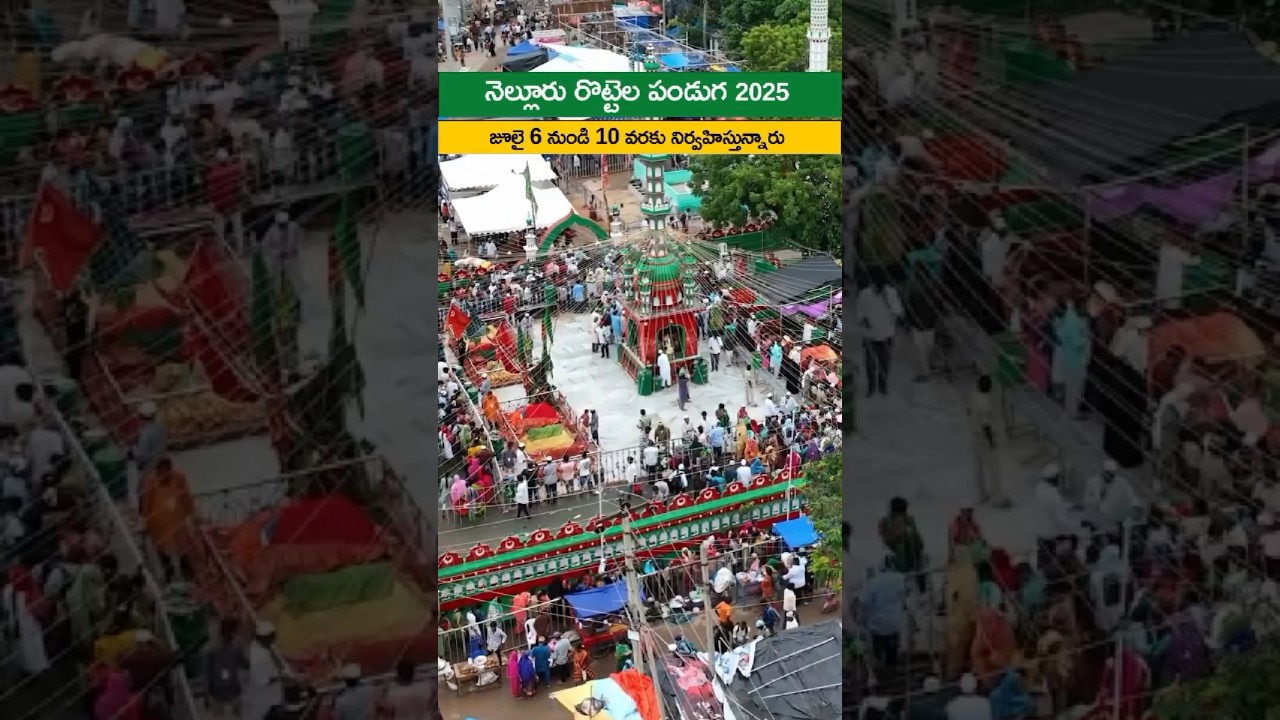 Nellore Rottela Panduga 2025 #shorts #short #nellore #rottelapanduga #nlr #viral #love  #subscribe
