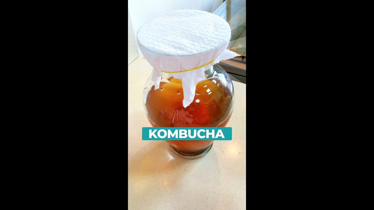 Aprenda a preparar o KOMBUCHA | Carina Palatnik #Shorts