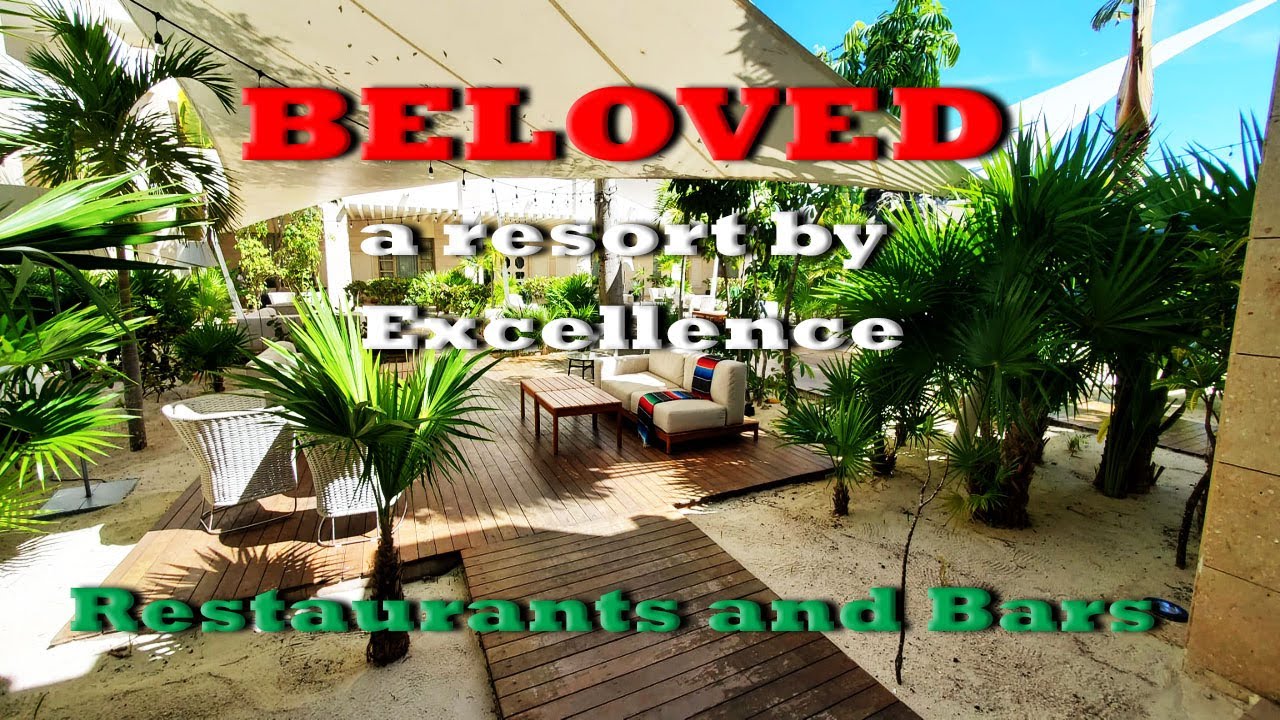 BELOVED - a part of the Excellence Collection of resorts . Restaurants and Bars overview