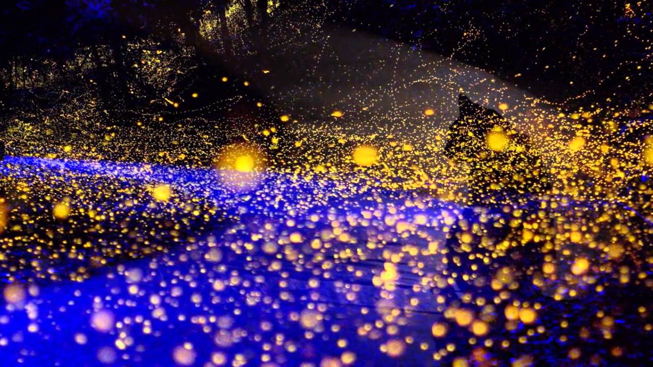 うかれ蛍／稲葉喜美子