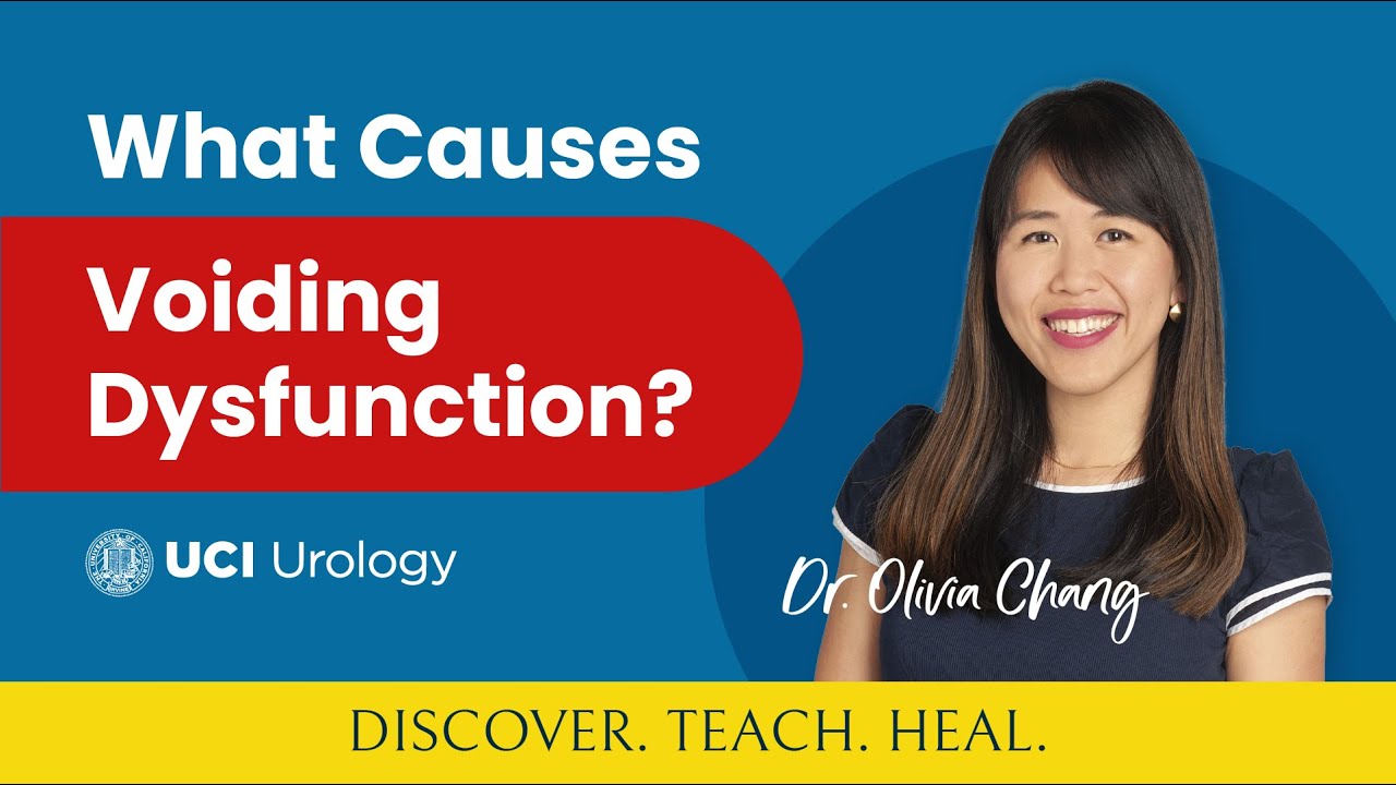 What Causes Voiding Dysfunction? by Dr. Olivia Chang - UC Irvine Department of Urology
