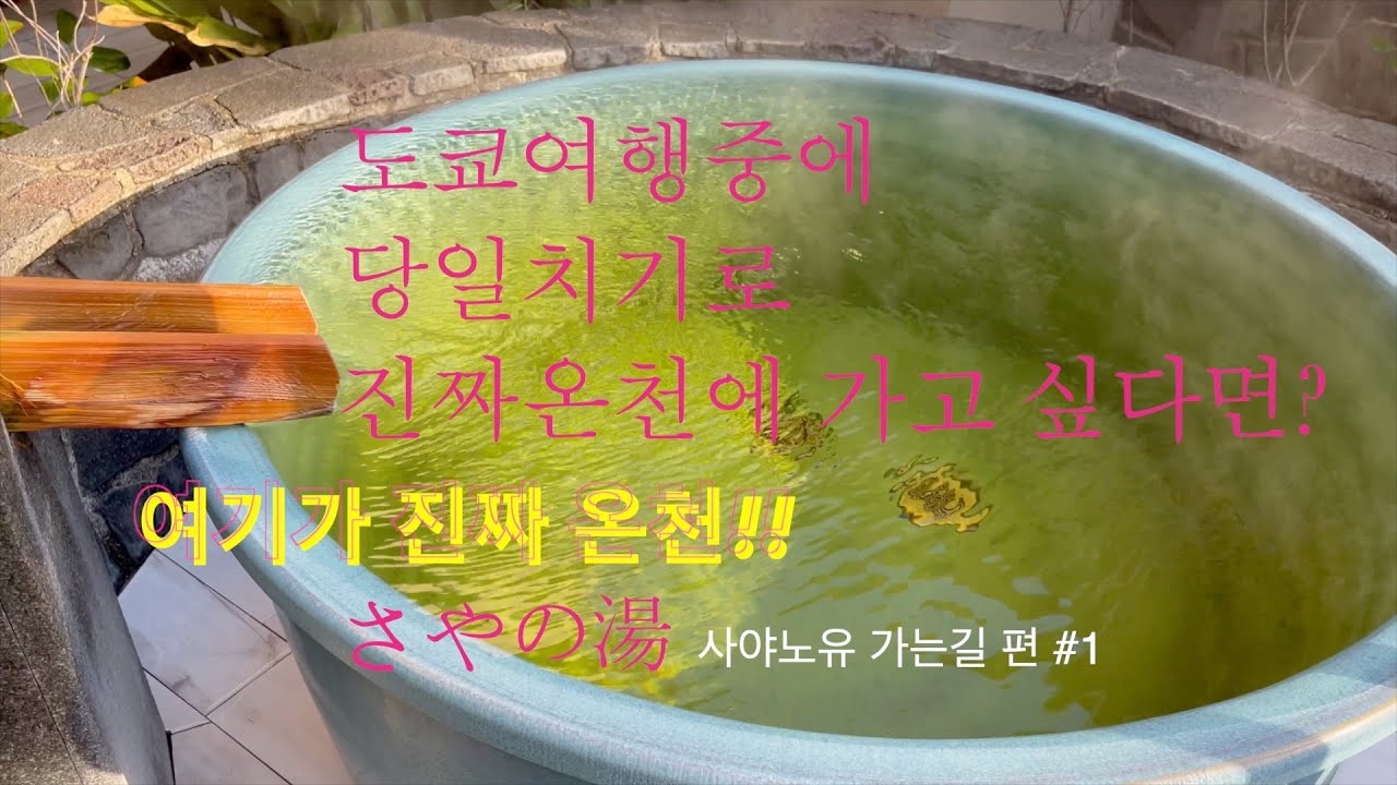 도쿄의 좋은 온천 시리즈  #1  원천흘려보내기 온천 사야노유. さやの湯　가는길  편.