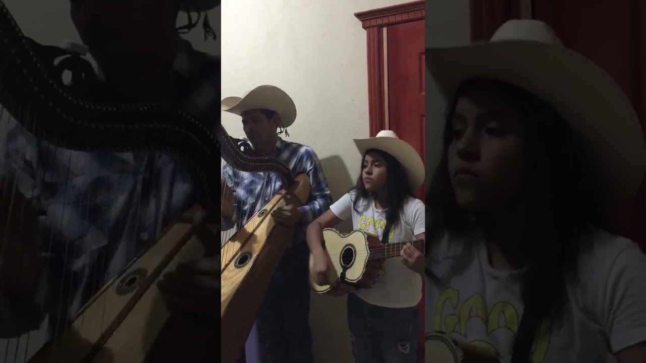 Anda paloma y dile