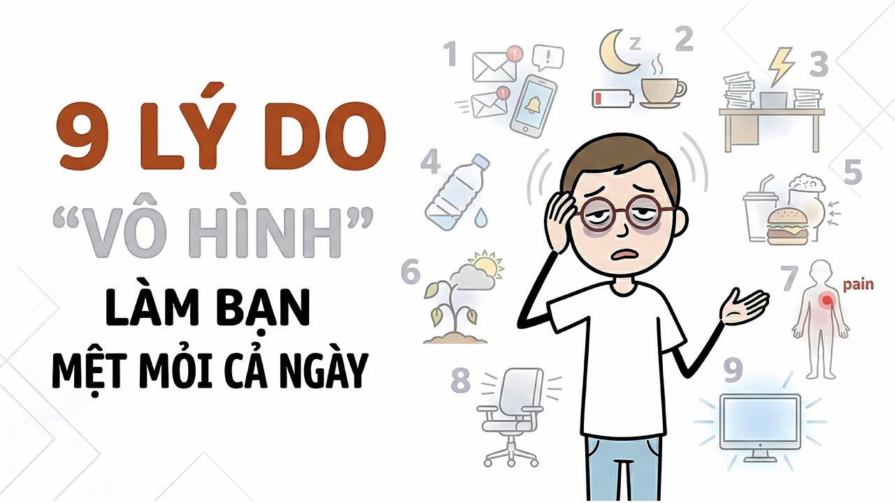 🔷 Vạch Mặt 9 Lý Do 