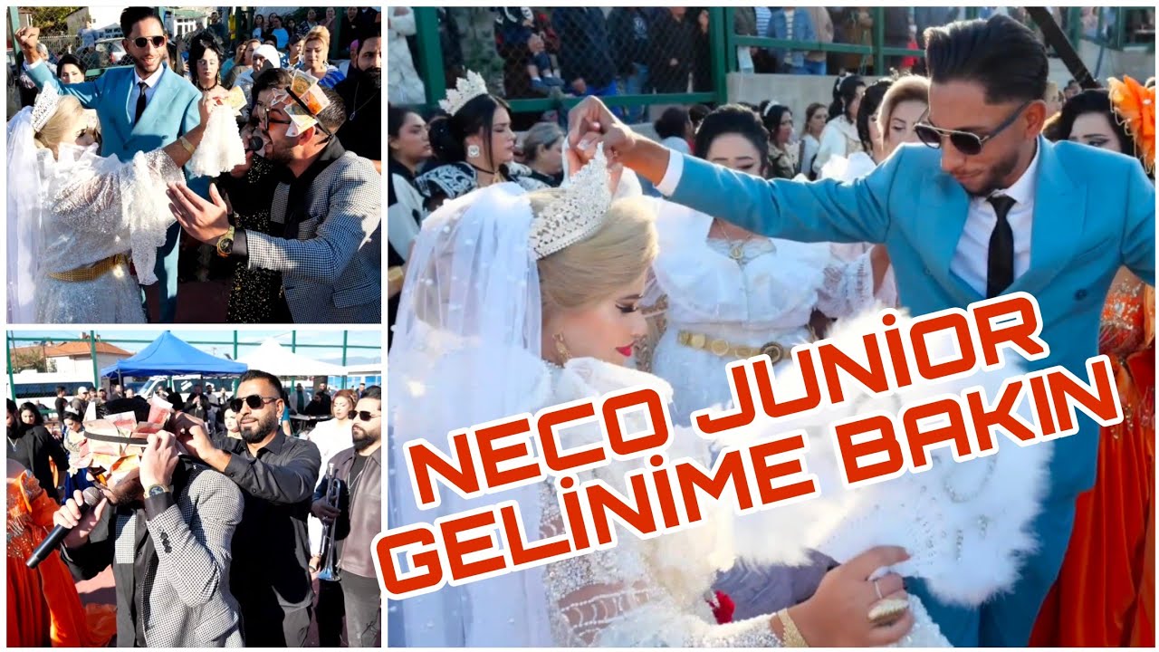 ☆NECO JUNİOR☆ 《GELİNİME BAKIN》NEW. (REMO& GÖZDE - GAZDA DEMO▪︎