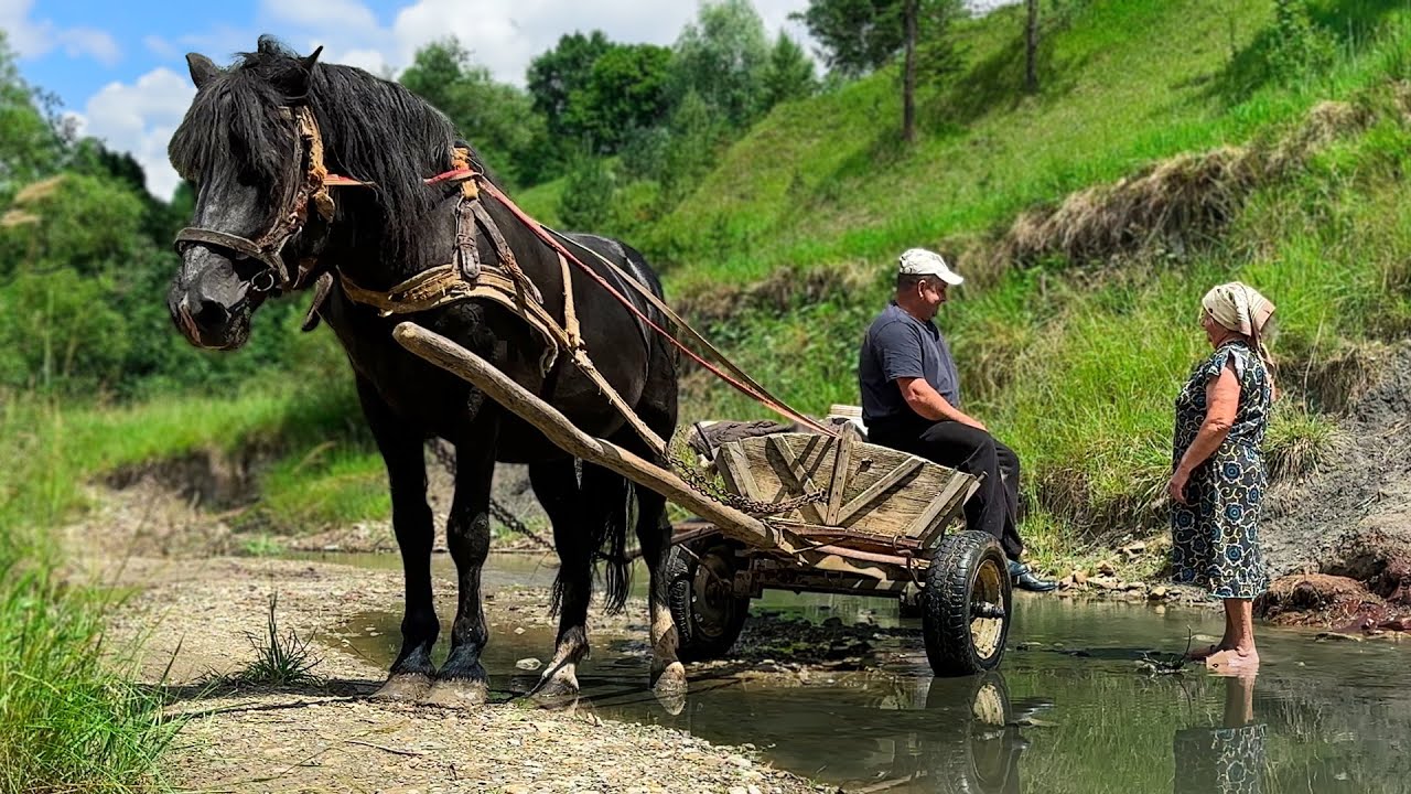 Happy Old Age of an Elderly Couple in an Old Village Far from Civilization! How is Salt Extracted?