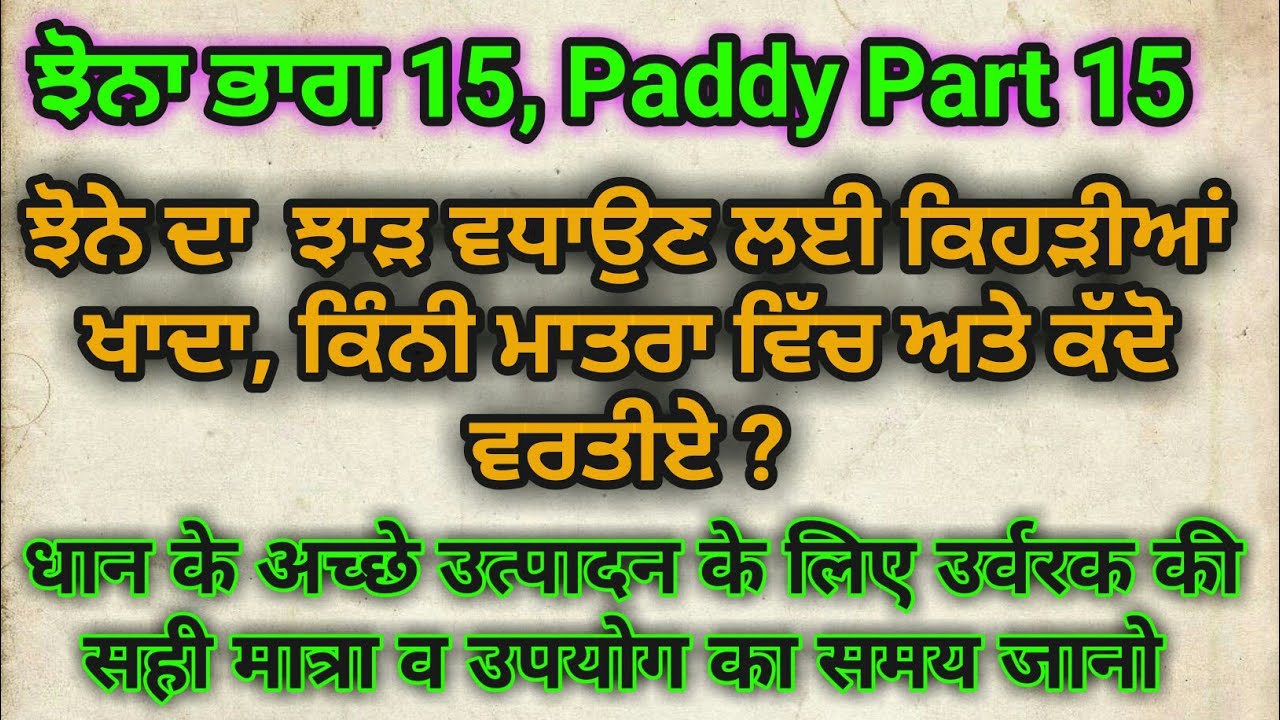 Balance use of fertilizers in Rice (ਵੱਧ ਝਾੜ ਲਈ ਝੋਨੇ ਵਿੱਚ ਇਸ ਤਰਾਂ ਖਾਦਾ ਪਾਓ) Paddy part 15, Sher Gill