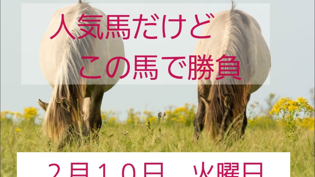 【競馬】少額。朝イチこの馬で少額。