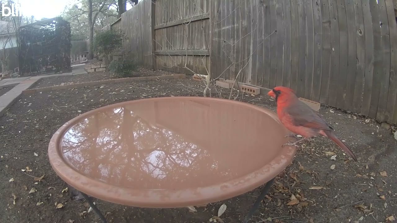 The process of getting into the water