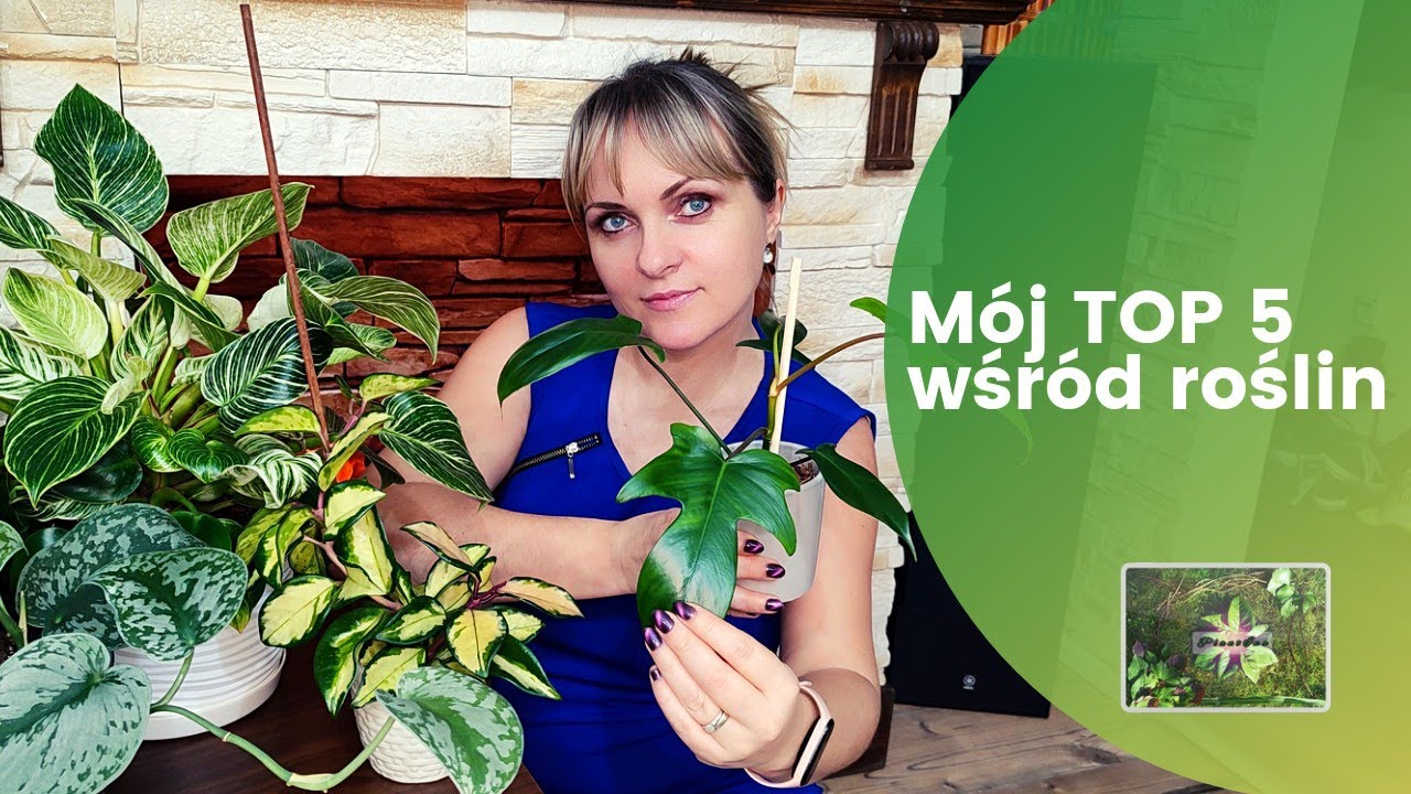 Moja TOP5 wśród roślin.  #rośliny  #top5 #ogrodnictwo