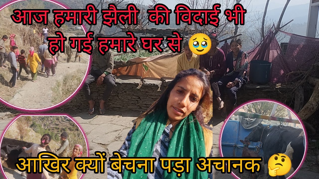 आज हमारी जेली की भी विदाई हो गई हमारे घर से 🥹।। आखिर क्यों बेचना पड़ा हमेंअचानक 🤔।।#phadilifestyle #