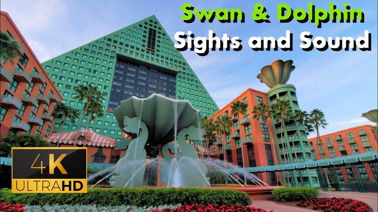 Swan And Dolphin Sights and Sound 4K