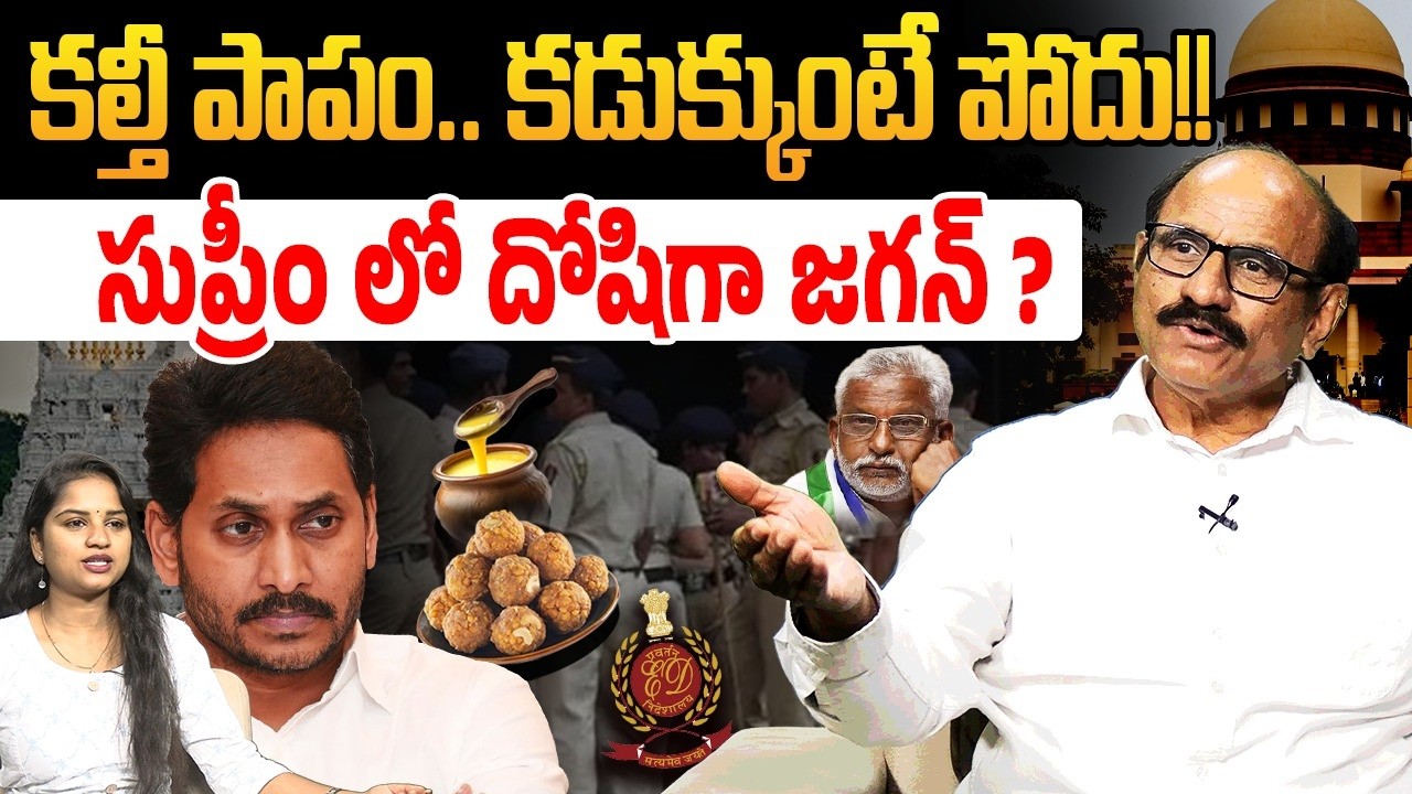 సుప్రీం లో దోషిగా జగన్ ? | Sr Journalist DV Srinivasa Rao on Tirumala Ghee Issue | YV Subbareddy