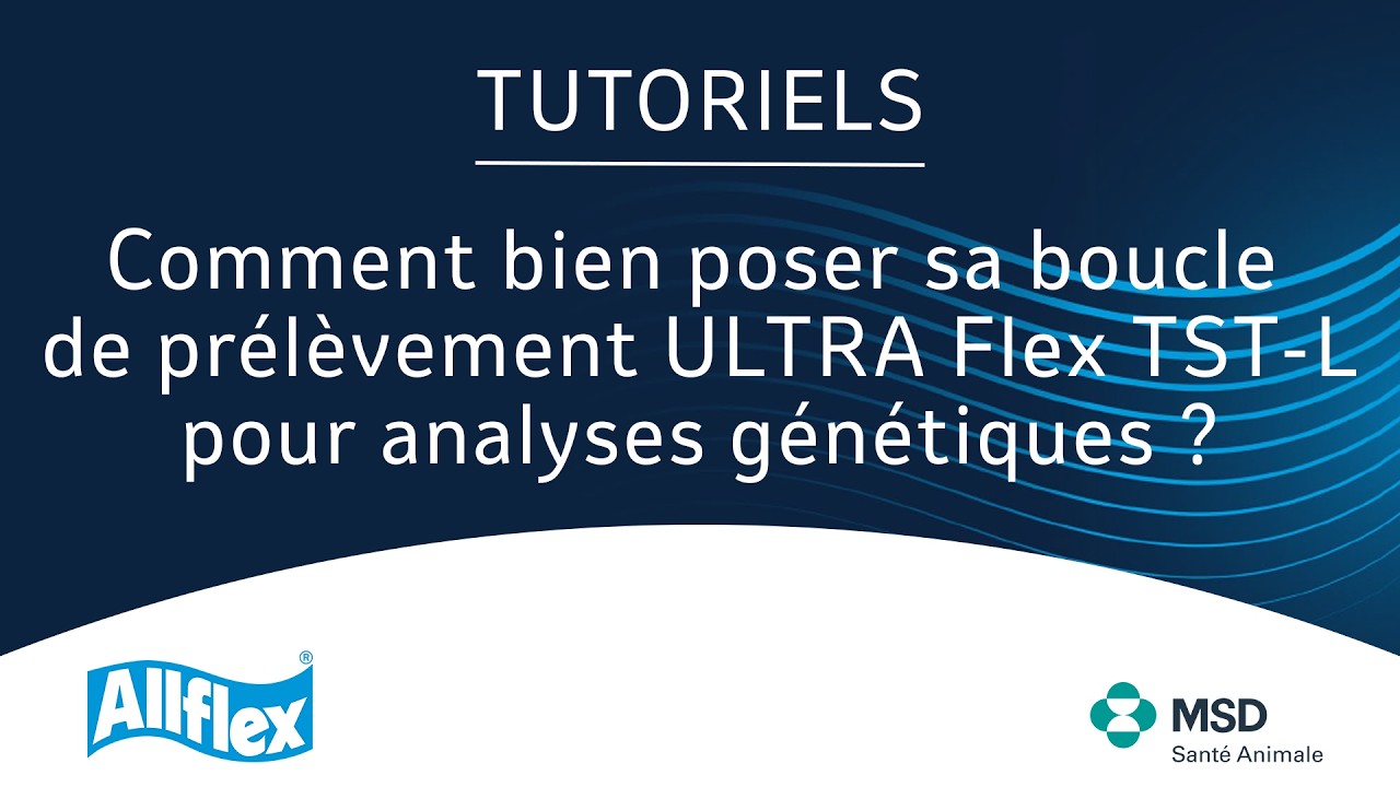 Comment bien poser sa boucle de prélèvement ULTRA Flex TST-L pour analyses génétiques ?