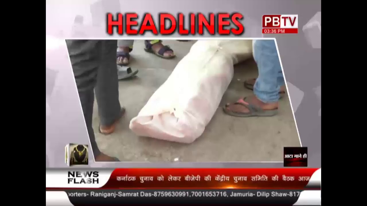 pbtv Live
