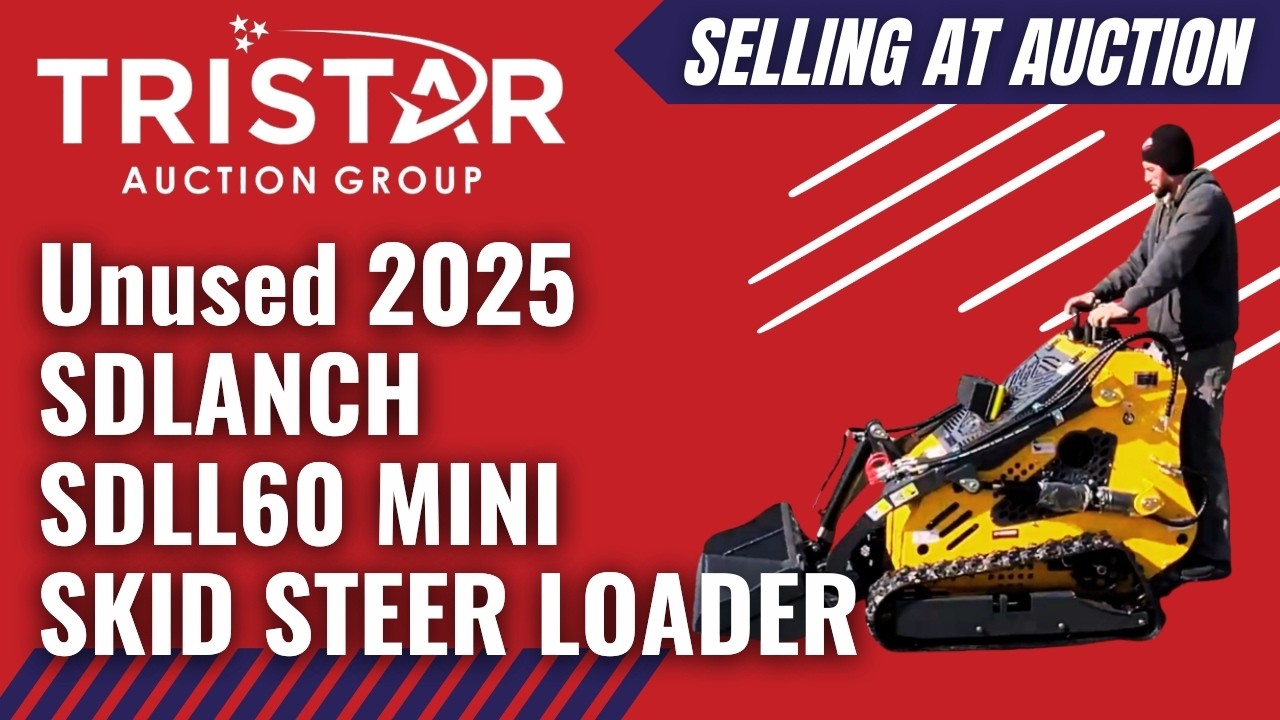 Unused 2025 SDLANCH SDLL60 SKID STEER LOADER Mini Skid Steer (8187) - Selling at auction