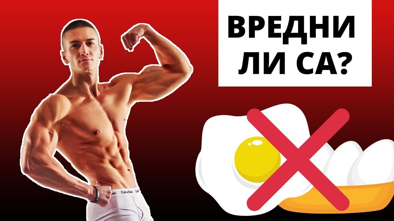 Яйца - Какво Трябва Да Знаем