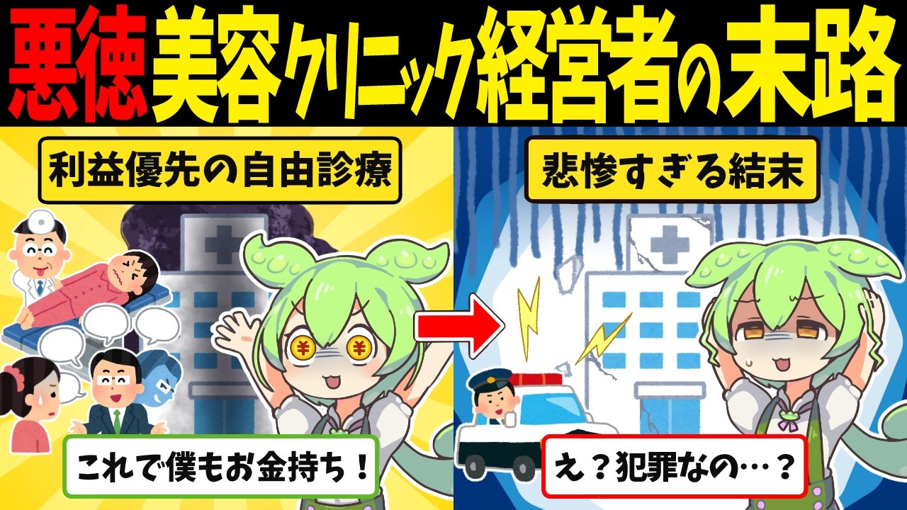 悪徳美容クリニック経営者ずんだもんの悲惨な末路【ずんだもん闇解説】